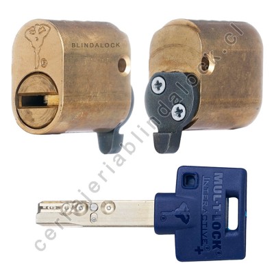 Cilindro de Alta seguridad Mul-t-Lock INTERACTIVE+ (OVAL)