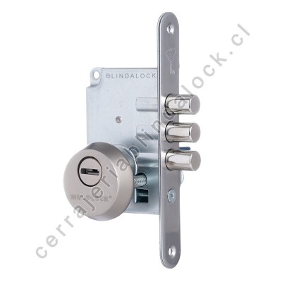Cerrojo Mul-t-Lock M-65