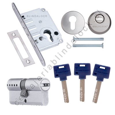 Cerrojo Mul-t-Lock M-65